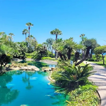 Beautiful Beachfront In Costalita Rdr287 *