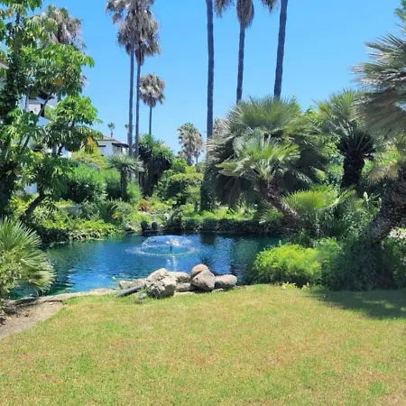 Apartment Beautiful Beachfront In Costalita Rdr287